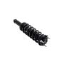 FCS Struts 2345881 Suspension Strut and Coil Spring Assembly