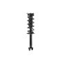 FCS Struts 2345967 Suspension Strut and Coil Spring Assembly