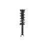 FCS Struts 2345967 Suspension Strut and Coil Spring Assembly