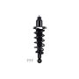 FCS Struts 2355016R Suspension Strut and Coil Spring Assembly