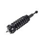 FCS Struts 2355017R Suspension Strut and Coil Spring Assembly