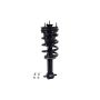 FCS Struts 2355037 Suspension Strut and Coil Spring Assembly
