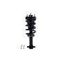 FCS Struts 2355037 Suspension Strut and Coil Spring Assembly