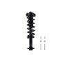 FCS Struts 2355057 Suspension Strut and Coil Spring Assembly