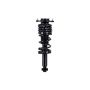 FCS Struts 2355059 Suspension Strut and Coil Spring Assembly