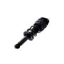 FCS Struts 2355059 Suspension Strut and Coil Spring Assembly