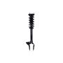 FCS Struts 2355065L Suspension Strut and Coil Spring Assembly
