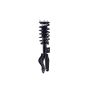 FCS Struts 2355160L Suspension Strut and Coil Spring Assembly