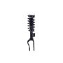 FCS Struts 2355160R Suspension Strut and Coil Spring Assembly
