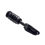FCS Struts 2355160R Suspension Strut and Coil Spring Assembly