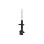 FCS Struts 331008L Suspension Strut