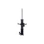FCS Struts 331019L Suspension Strut