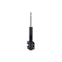 FCS Struts 331439 Suspension Strut