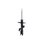 FCS Struts 331582L Suspension Strut