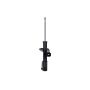 FCS Struts 331584R Suspension Strut