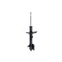 FCS Struts 331595L Suspension Strut
