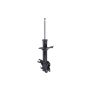 FCS Struts 331596L Suspension Strut