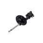 FCS Struts 331597L Suspension Strut