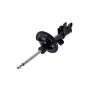 FCS Struts 331597R Suspension Strut