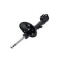FCS Struts 331604R Suspension Strut