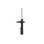 FCS Struts 331607L Suspension Strut