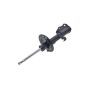FCS Struts 331608L Suspension Strut