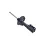 FCS Struts 331608R Suspension Strut