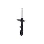 FCS Struts 331613R Suspension Strut