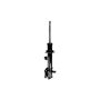 FCS Struts 331616R Suspension Strut