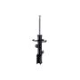 FCS Struts 331617R Suspension Strut