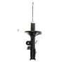 FCS Struts 331619R Suspension Strut