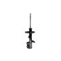 FCS Struts 331620L Suspension Strut