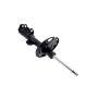 FCS Struts 331622R Suspension Strut