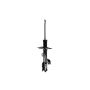 FCS Struts 331626R Suspension Strut