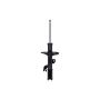 FCS Struts 331628L Suspension Strut