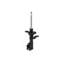 FCS Struts 331630L Suspension Strut