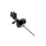 FCS Struts 331631L Suspension Strut
