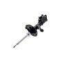 FCS Struts 331631R Suspension Strut