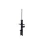 FCS Struts 331633R Suspension Strut