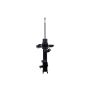 FCS Struts 331634L Suspension Strut