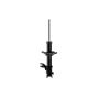 FCS Struts 331643L Suspension Strut