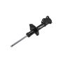 FCS Struts 331643L Suspension Strut