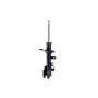 FCS Struts 331645L Suspension Strut