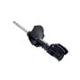 FCS Struts 331645R Suspension Strut