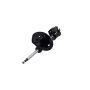FCS Struts 331655L Suspension Strut
