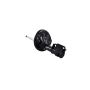 FCS Struts 331657L Suspension Strut