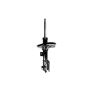 FCS Struts 331658R Suspension Strut