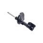 FCS Struts 331658R Suspension Strut
