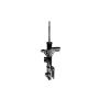 FCS Struts 331659R Suspension Strut