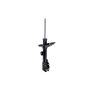 FCS Struts 331660R Suspension Strut